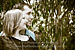 Hayley and Adam's pre wedding shoot