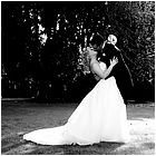 090808-161-0431.jpg(107 KB)